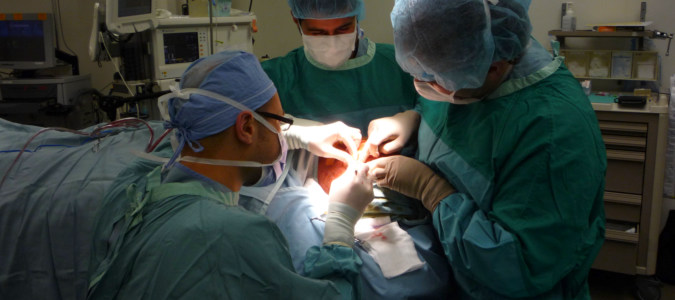 Nullam euismod commodo